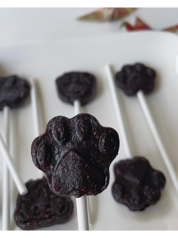 497351251_17852395077444865_8923007764476055675_n